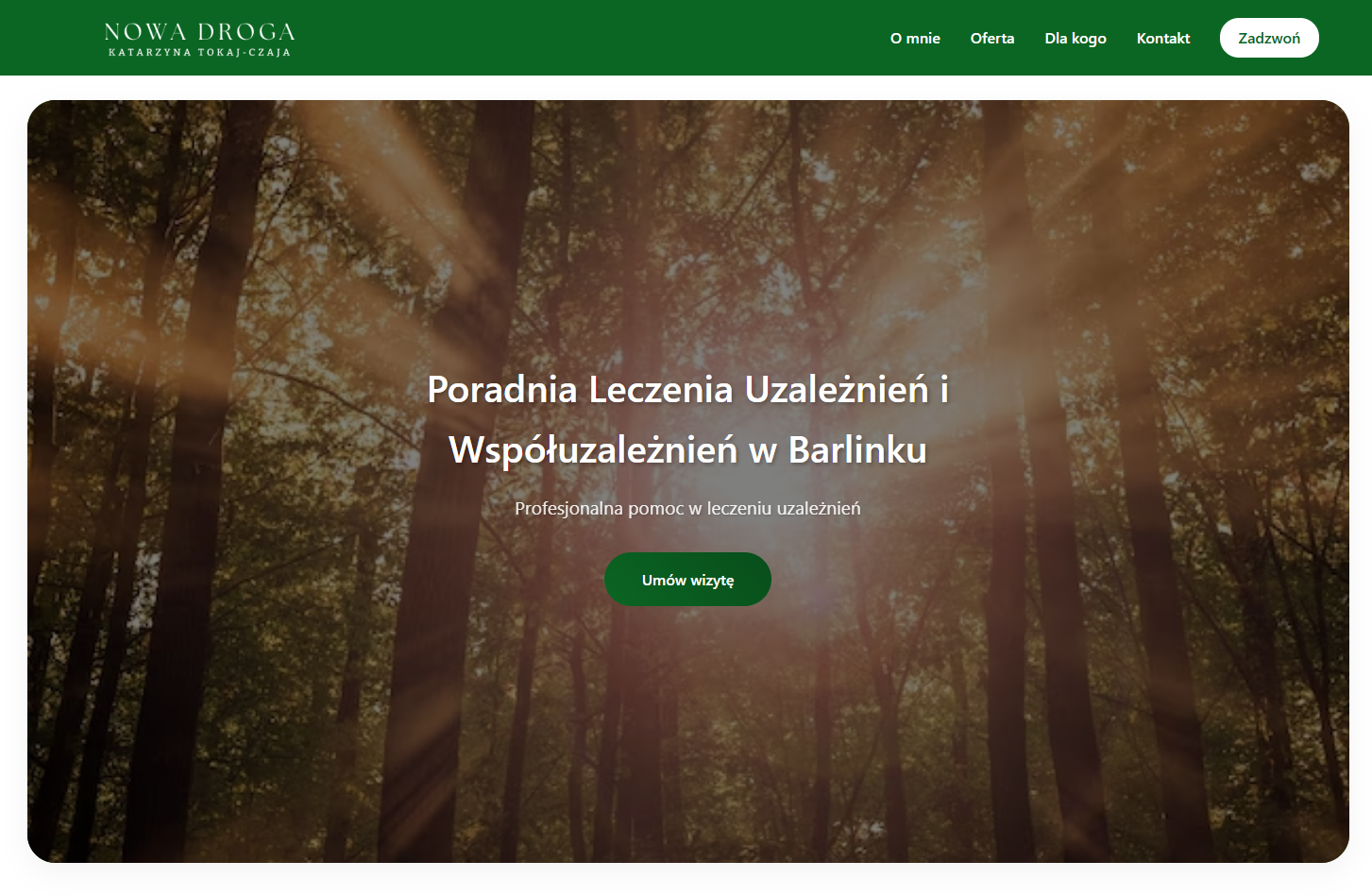 Widok główny strony